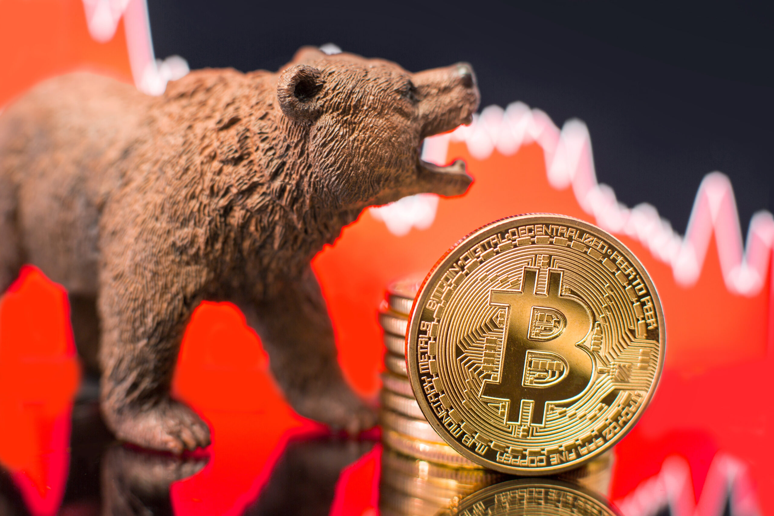 Хешрейт растет — падения не будет? BTC поддерживают майнеры и математика